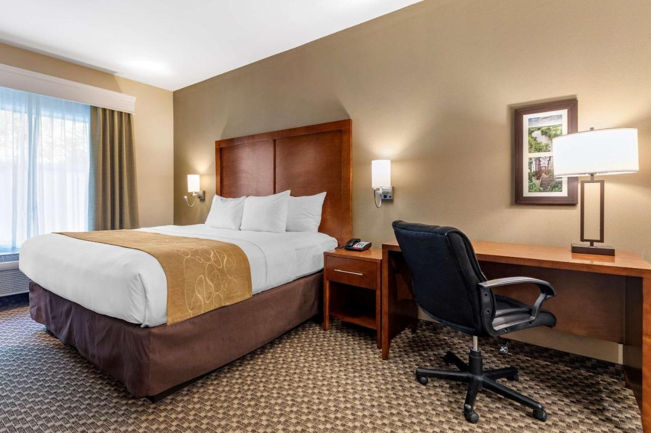 Comfort Suites לופקין מראה חיצוני תמונה