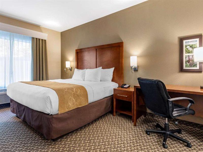Comfort Suites לופקין מראה חיצוני תמונה